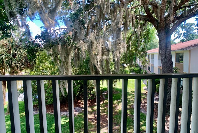 The Point in Gainesville, Florida Swamp Rentals